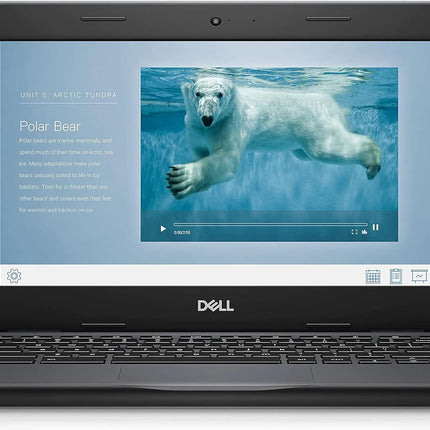 Dell Chromebook 11 3100 11.6" Touchscreen 2 in 1 Chromebook - HD - 1366 x 768 - Intel Celeron N4120 Quad-Core - 4 GB RAM - 32 GB Flash Memory (Renewed)