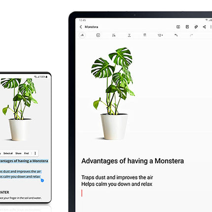 SAMSUNG Galaxy Tab S6 Lite 10.4" 128GB WiFi Android Tablet w/ S Pen Included, Slim Metal Design, Crystal Clear Display, Dual Speakers, Long Lasting Battery, SM-P610NZAEXAR, Gray